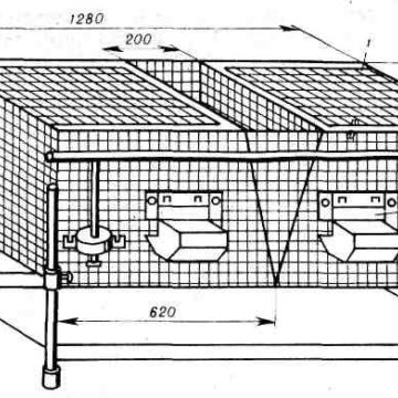 Размер клетки с маточником для кроликов схема