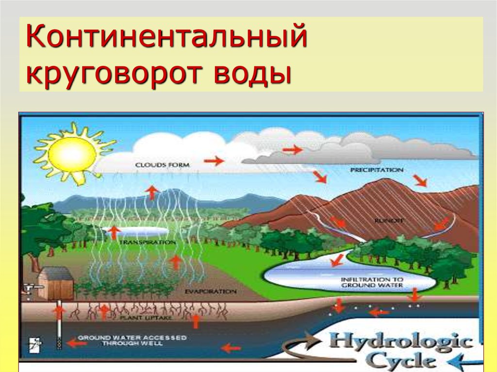 Внутренне континентальные. Внутриконтинентальный круговорот воды в природе схема. Внутриматериковый круговорот воды в природе. Малый континентальный круговорот воды. Континентальный круговорот воды в природе.