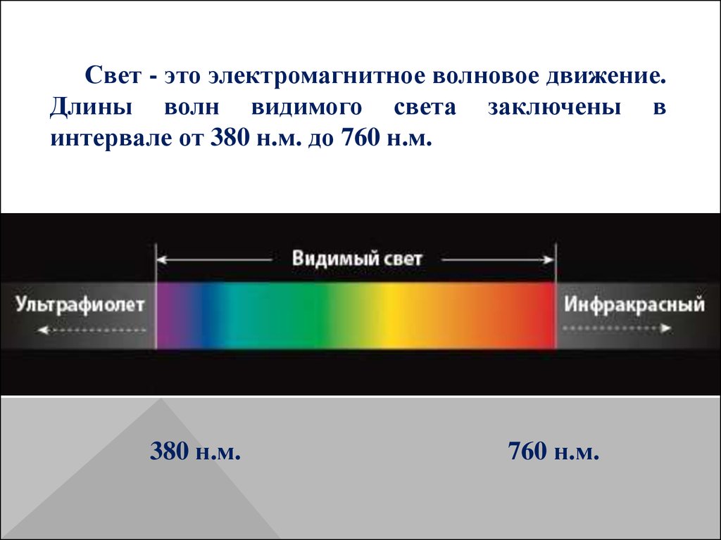 Что воспринимает световое изображение