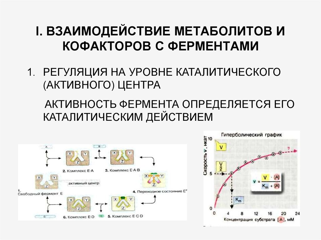 Каталитическая функция