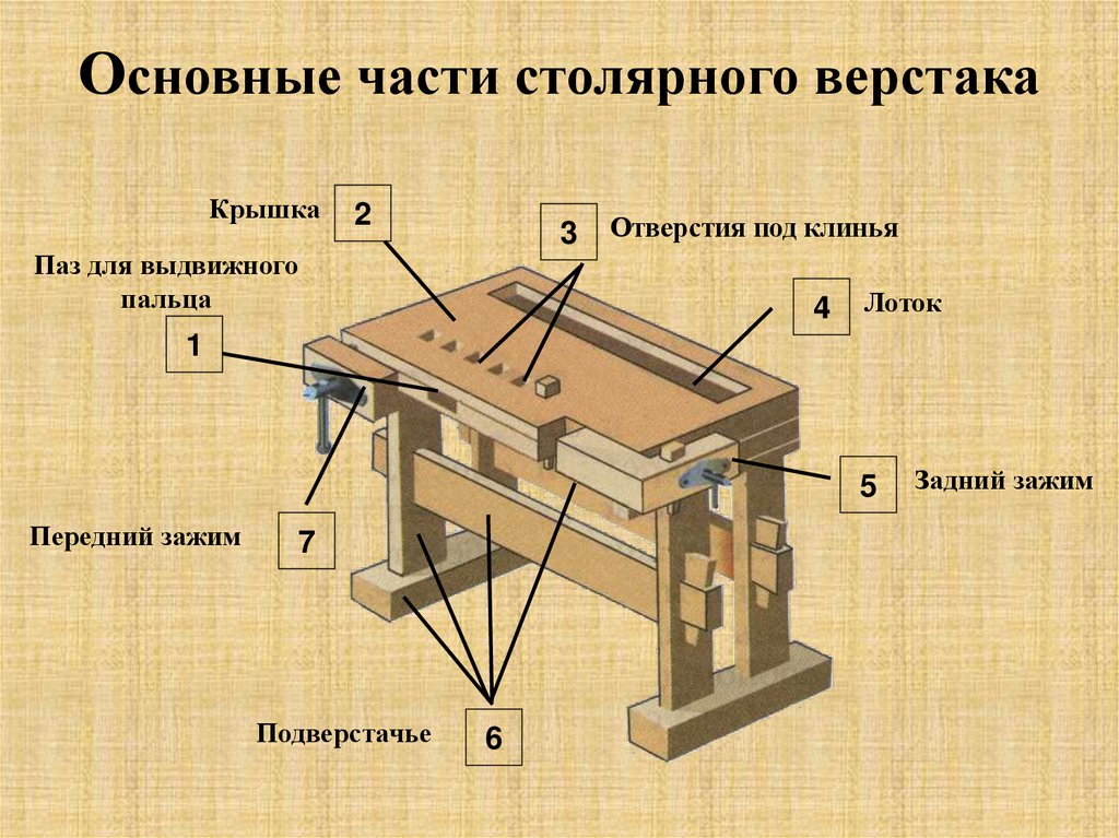 Школа устройство. Части столярного верстака.