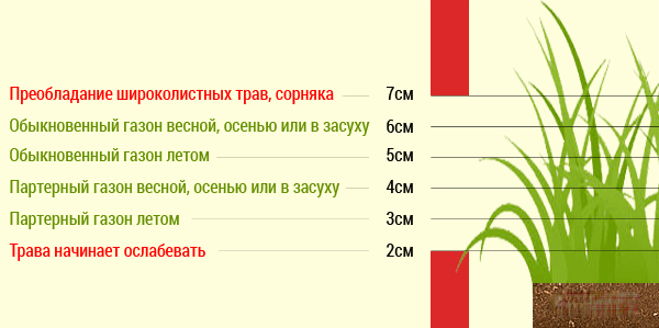 Технологическая карта кошения травы