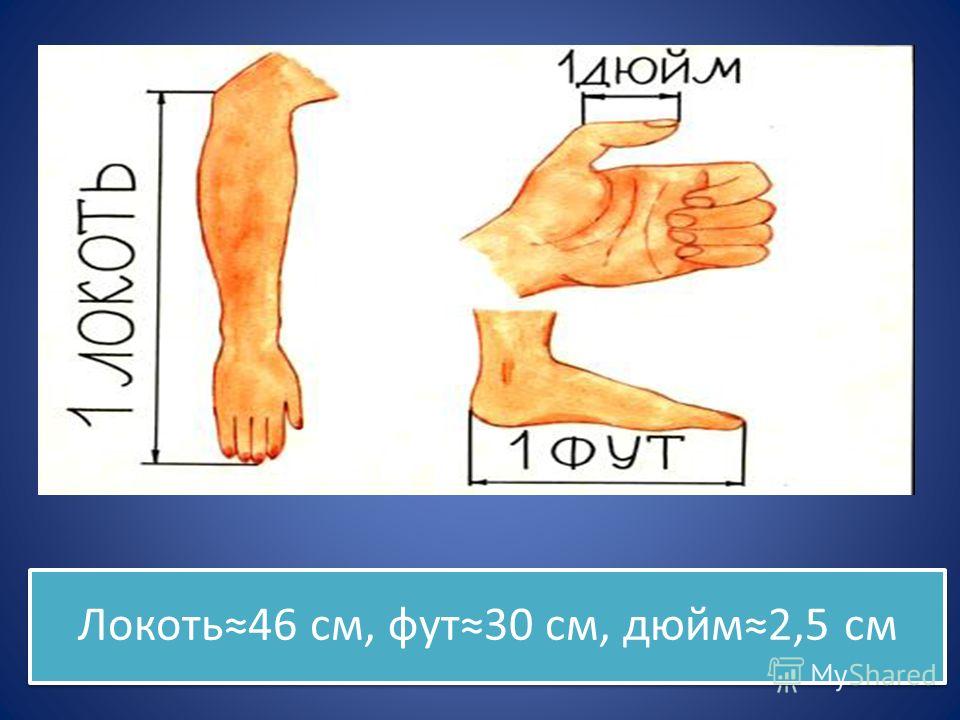 173 см в футах