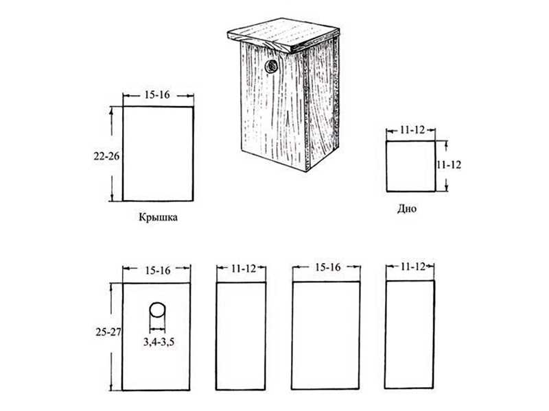 Оптимальные размеры скворечника для скворцов чертеж