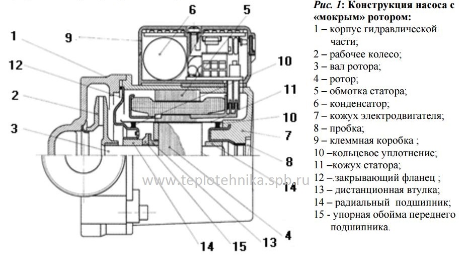 Насос грундфос в разрезе картинки