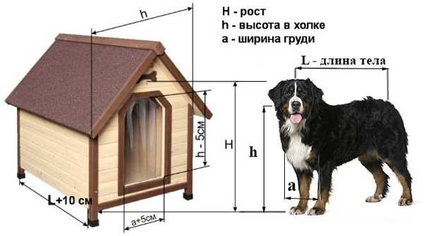 Будка для собаки своими руками чертежи и размеры для хаски фото