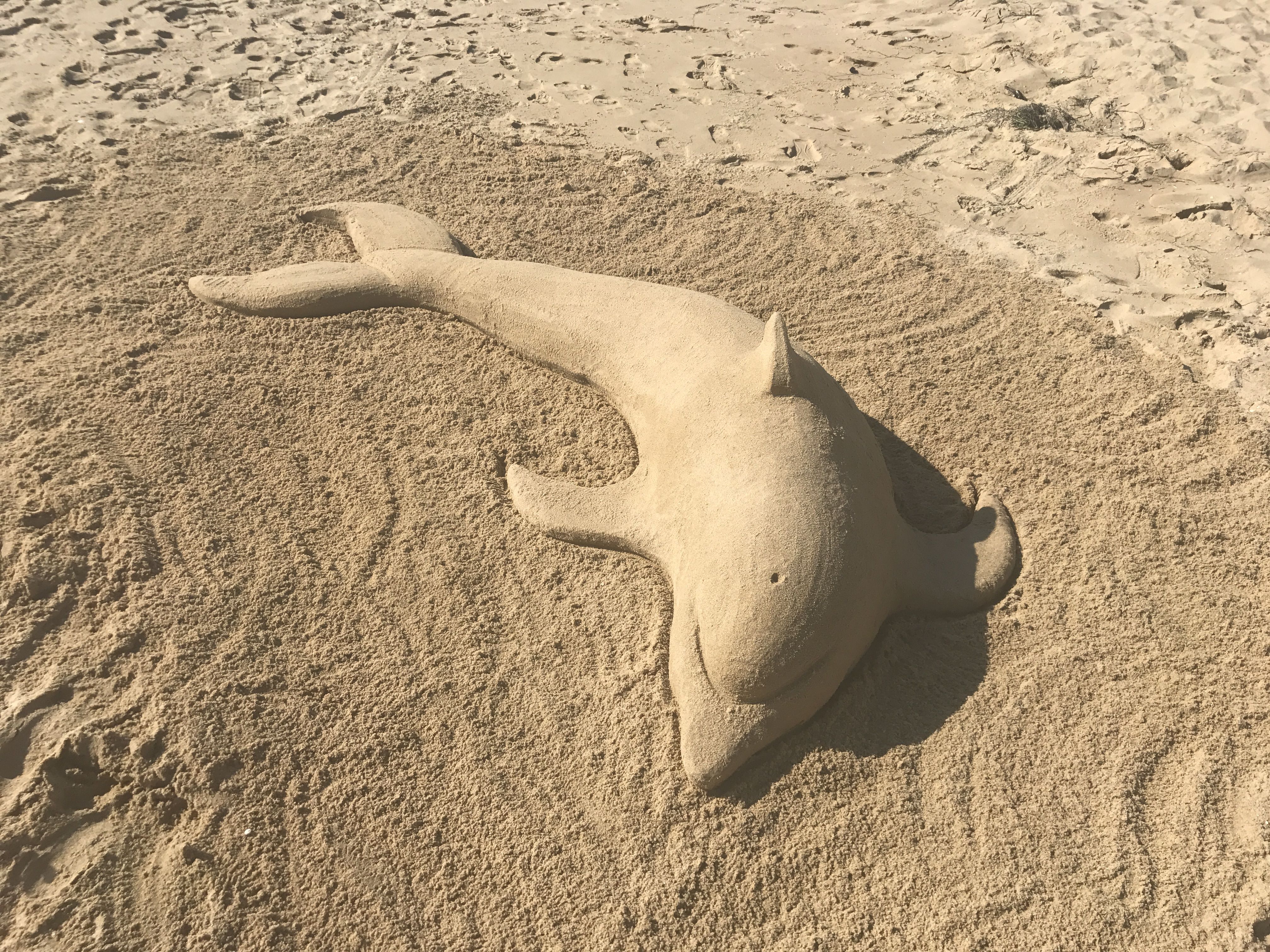 Уникальные шедевры рукотворных фигур на песке
