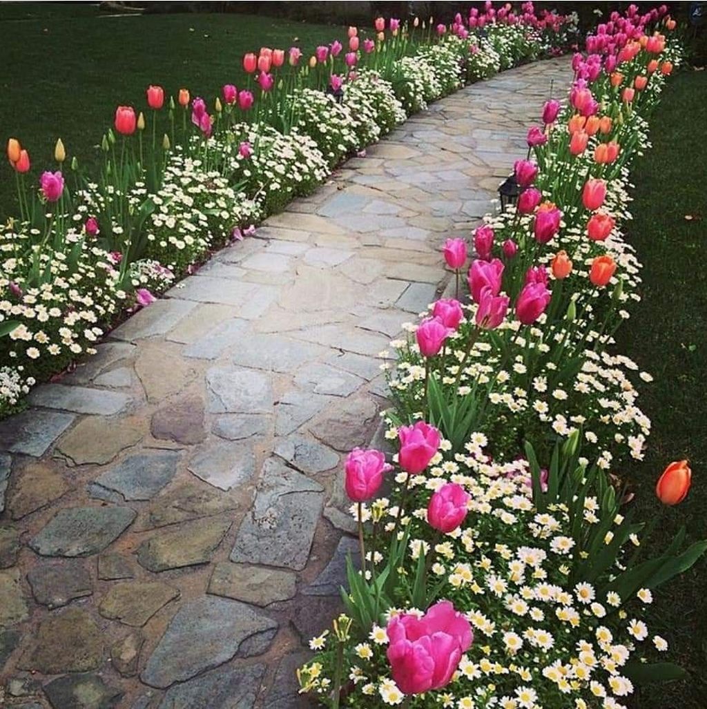 Как красиво посадить цветы во дворе: Как красиво посадить цветы в .