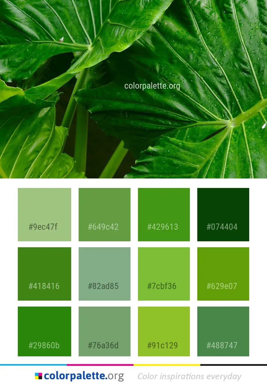 зеленые цвета названия и фото