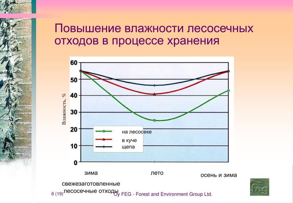 Влажность воздуха в сочи сейчас