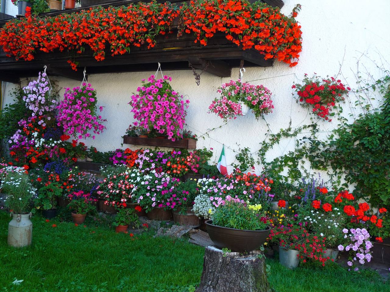 Как красиво посадить цветы в палисаднике перед домом в деревне фото и название