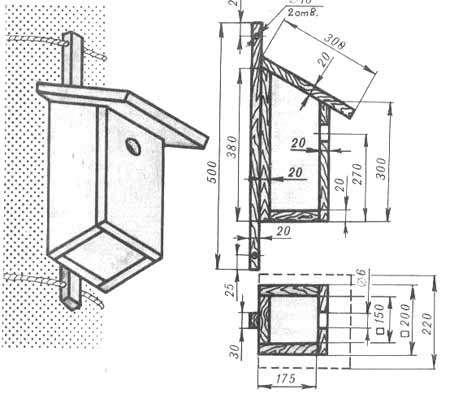 Диаметр отверстия для скворца. Размеры скворечника и синичника. Скворечник чертеж. Чертёж скворечника с размерами. Домики для птиц чертежи и Размеры.